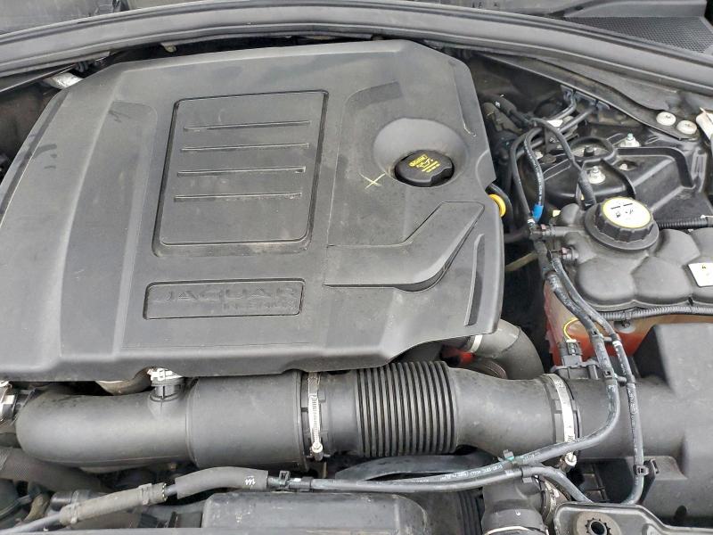 2019 JAGUAR F-PACE PRE #3304519465