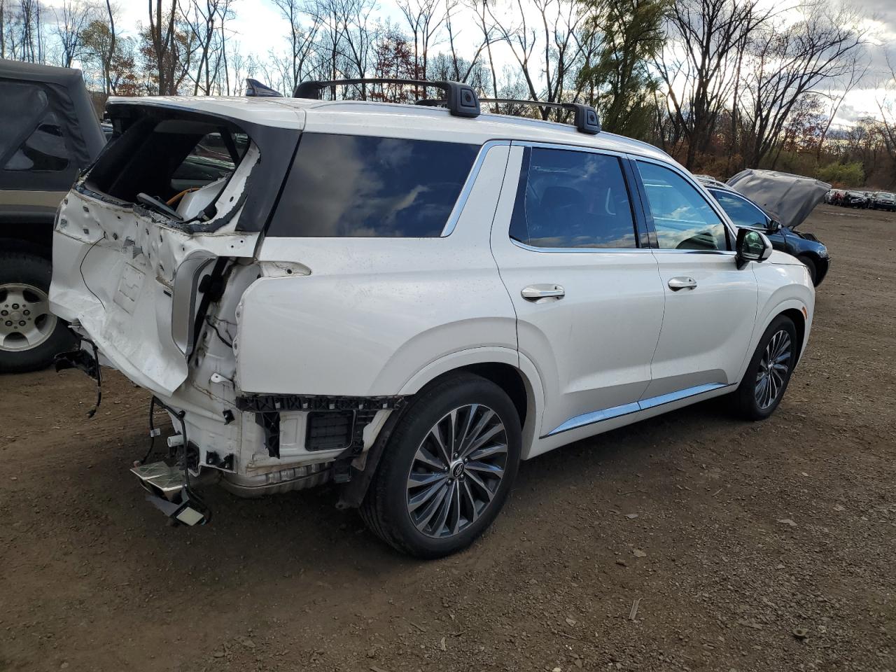 HYUNDAI PALISADE CALLIGRAPHY