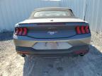Lot #3312588233 2025 FORD MUSTANG