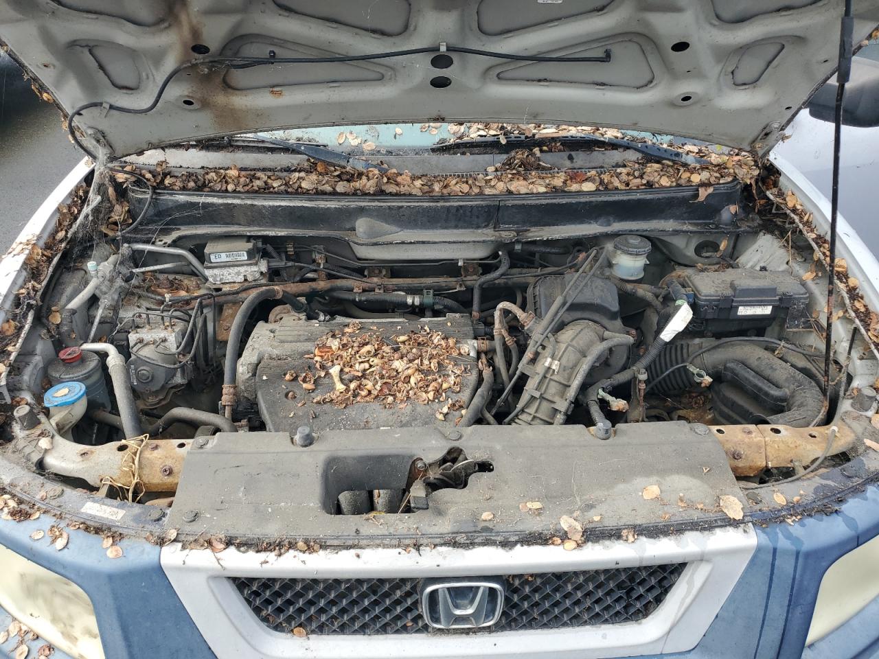 Lot #3290240214 2005 HONDA ELEMENT EX