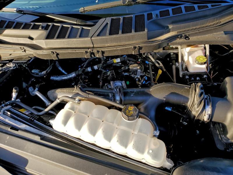 2025 FORD F150 XL #3302647179