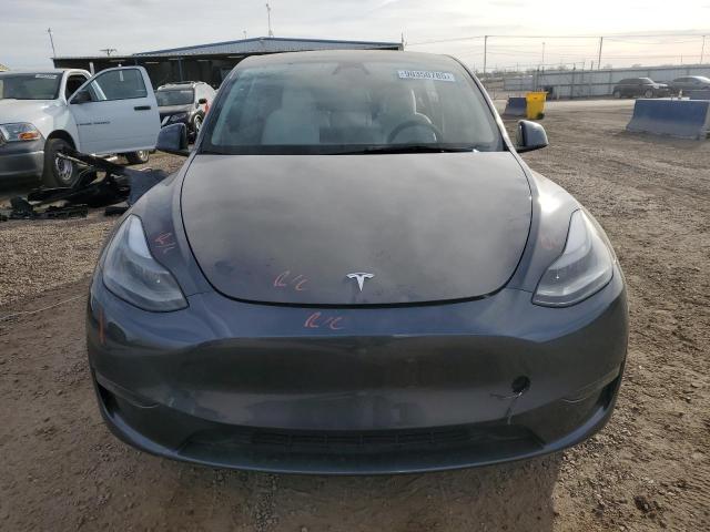 2023 TESLA MODEL Y - 7SAYGDEE4PF843143
