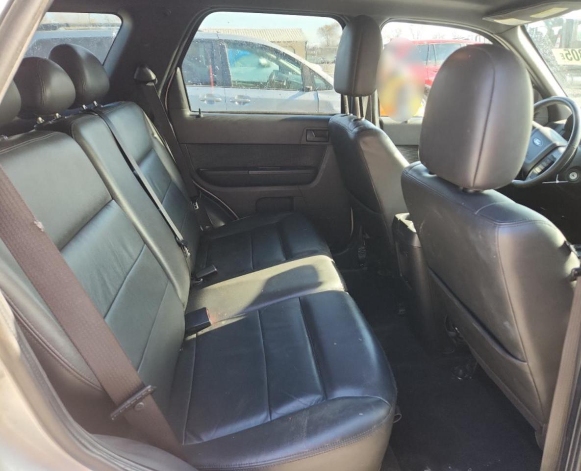 Lot #3297230389 2009 FORD ESCAPE XLT