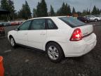 Lot #3308248164 2004 CHEVROLET MALIBU MAX