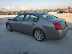 Lot #3294495500 2006 NISSAN MAXIMA SE