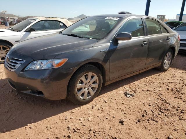 Global Auto Auctions: 2009 TOYOTA CAMRY HYBR