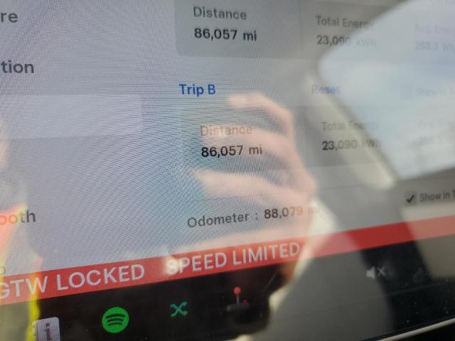 2020 TESLA MODEL Y #3286666338