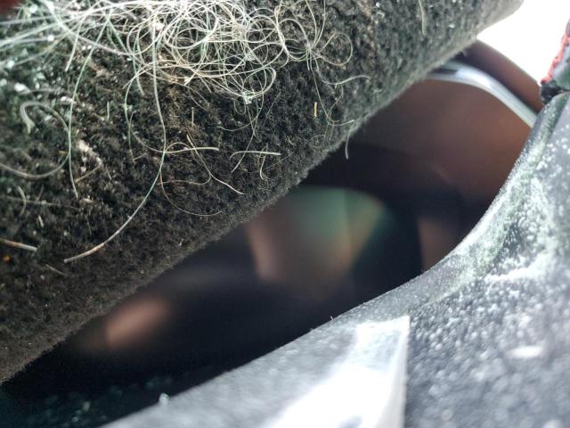 2025 FORD ESCAPE ST #3301462536