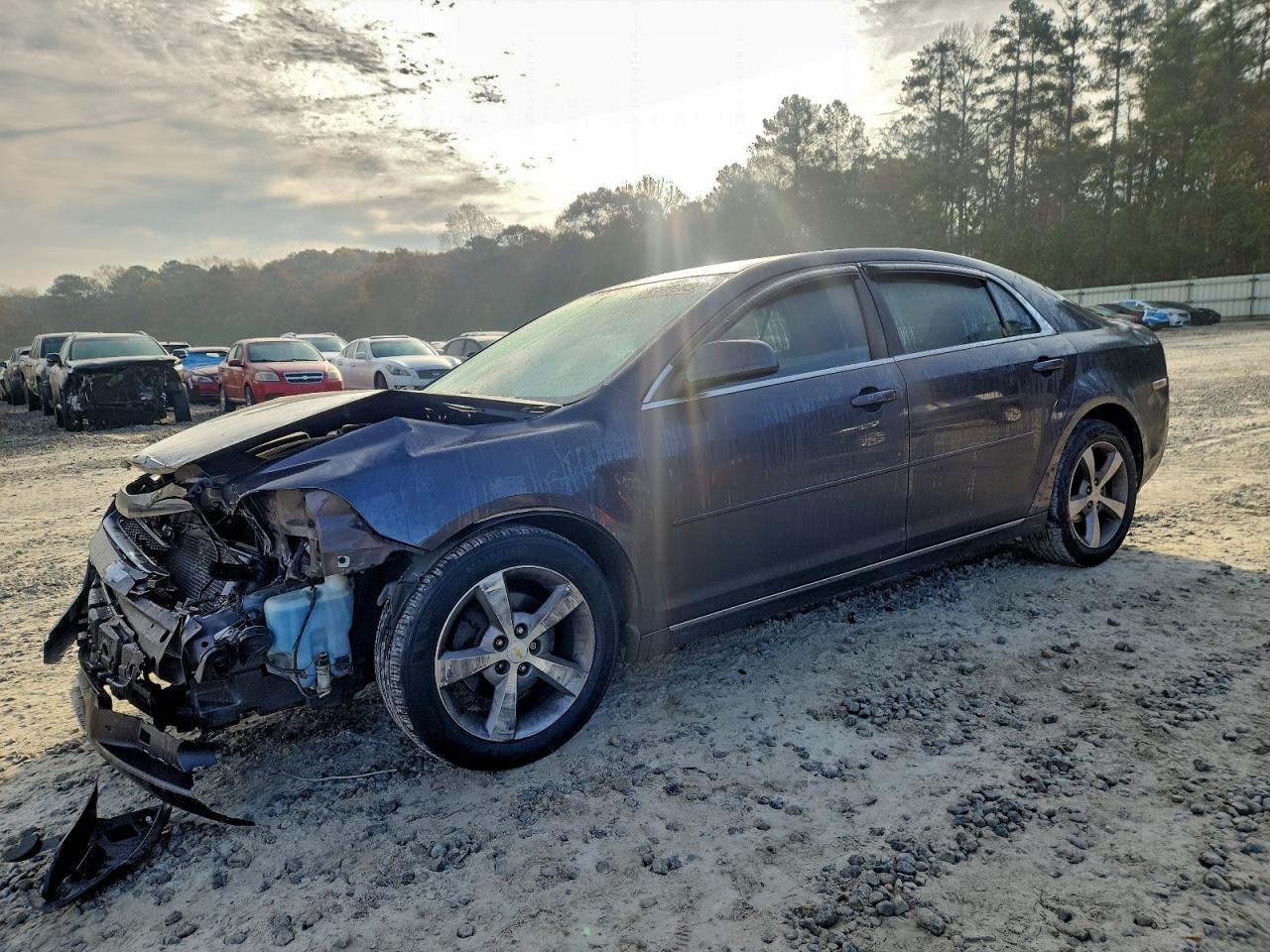 Lot #3297955824 2011 CHEVROLET MALIBU 1LT