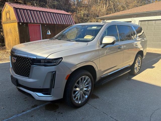 2024 CADILLAC ESCALADE P #3296986817