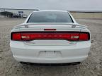 Lot #3305368328 2014 DODGE CHARGER SE