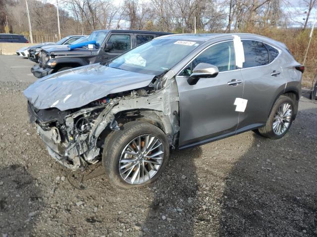 2025 LEXUS NX 350H BA #3302647051