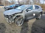 Lot #3302647051 2025 LEXUS NX 350H BA