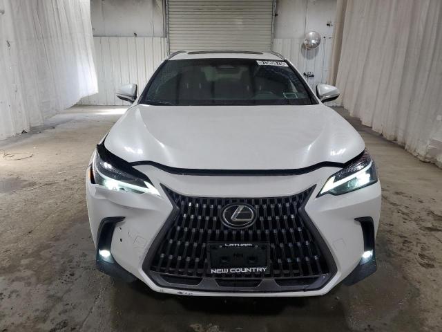 2024 LEXUS NX 350 BAS #3311517250