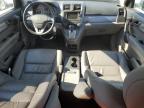 Lot #3303816444 2010 HONDA CR-V EXL