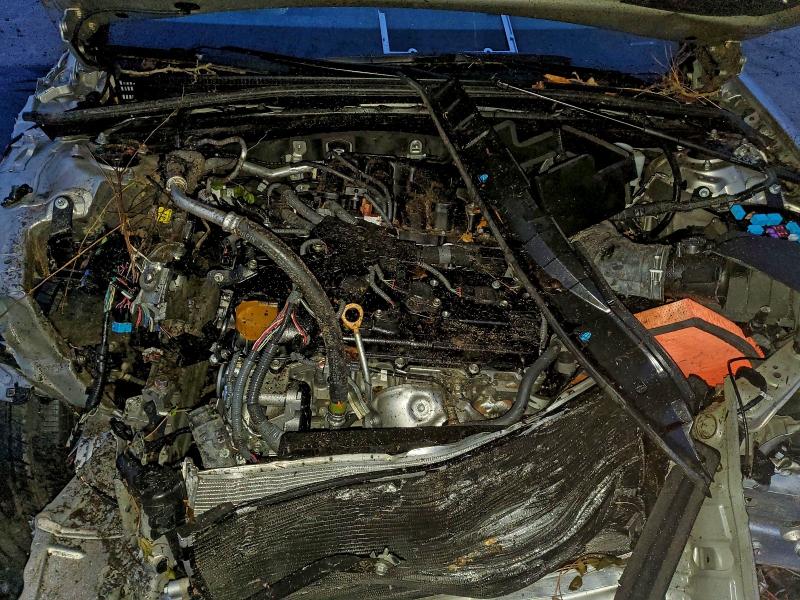 2020 LEXUS ES 350 #3298105180