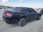 Lot #3304523438 2010 FORD MUSTANG