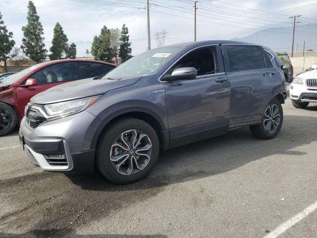 Global Auto Auctions: 2022 HONDA CR-V EX