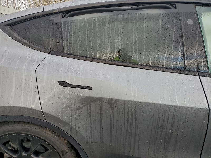 2024 TESLA MODEL Y #3302663066