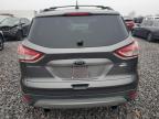 Lot #3294349886 2013 FORD ESCAPE SE