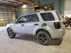Lot #3312521656 2008 FORD ESCAPE XLT