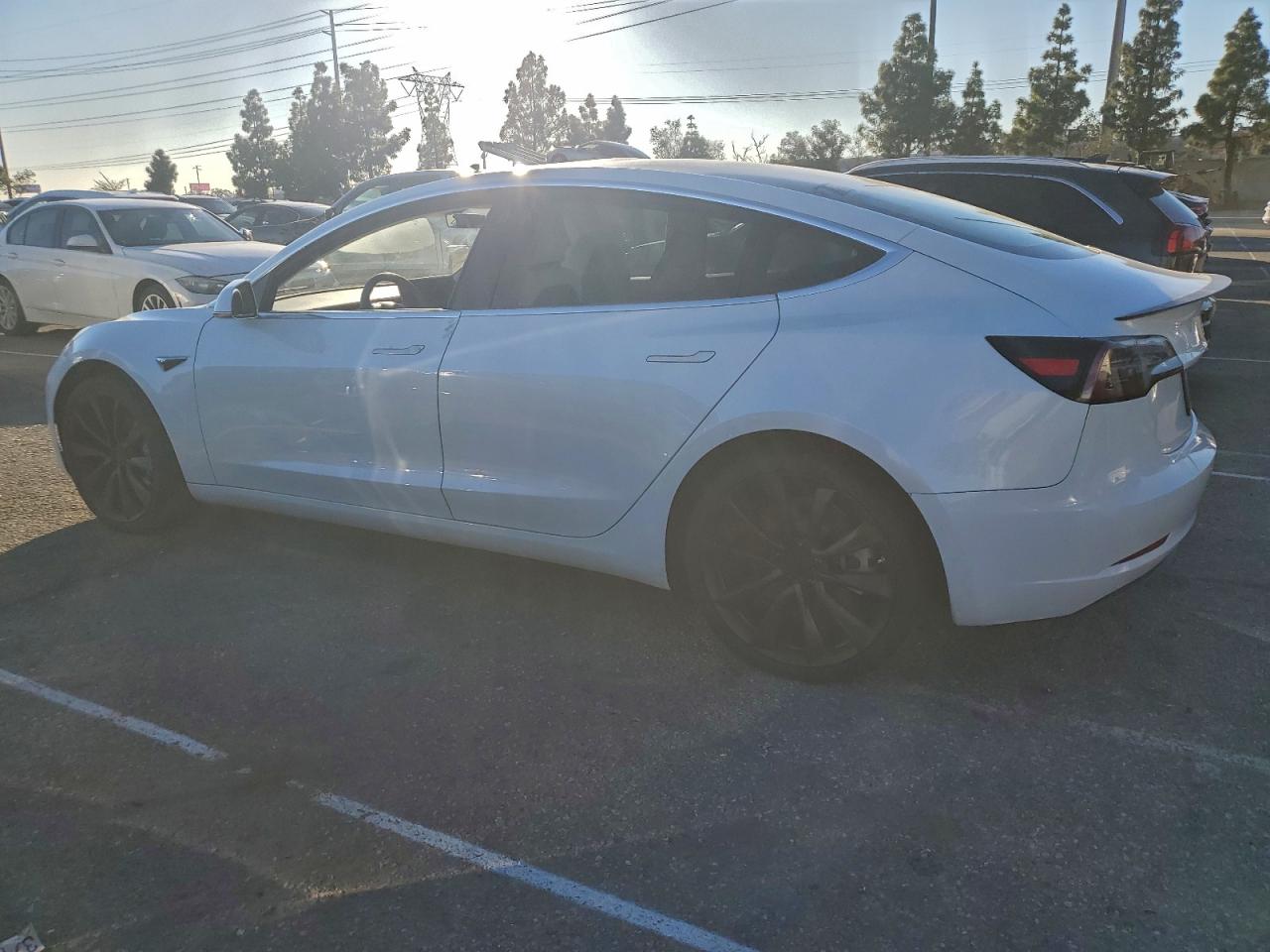 Lot #3303002633 2019 TESLA MODEL 3