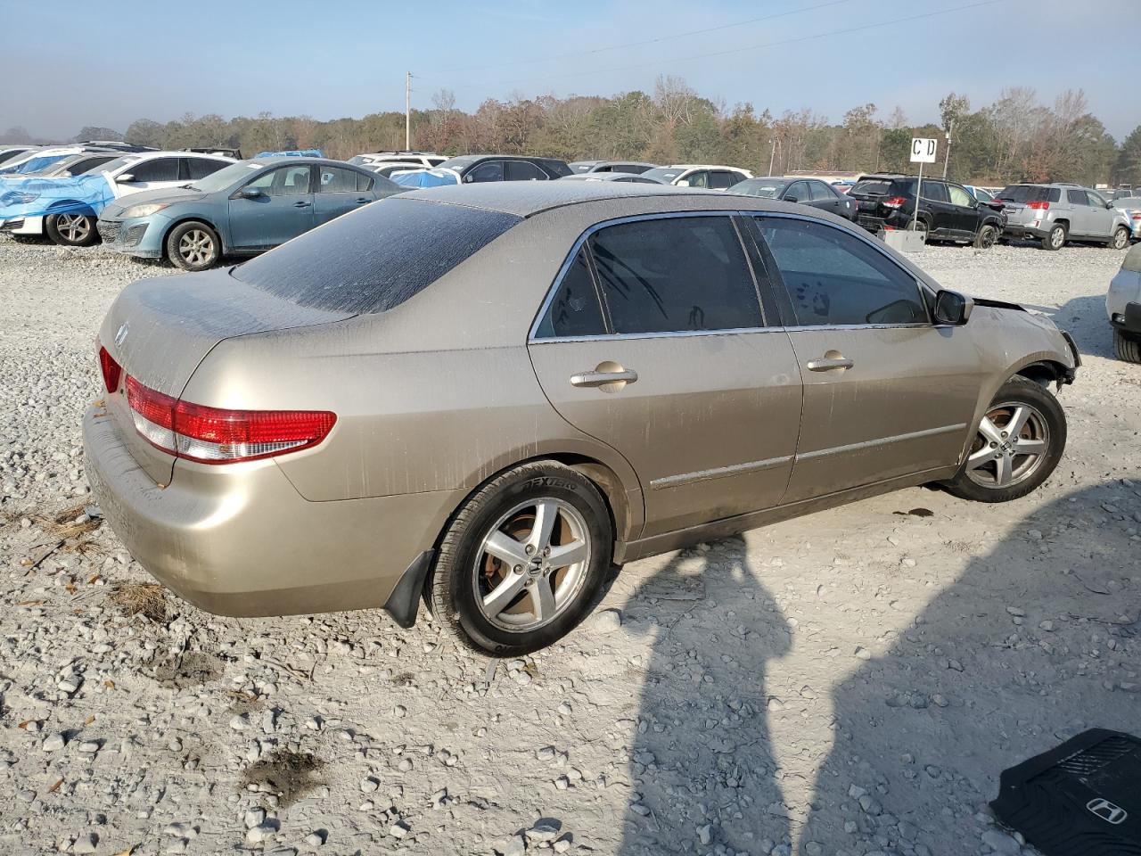 Lot #3304601435 2004 HONDA ACCORD EX