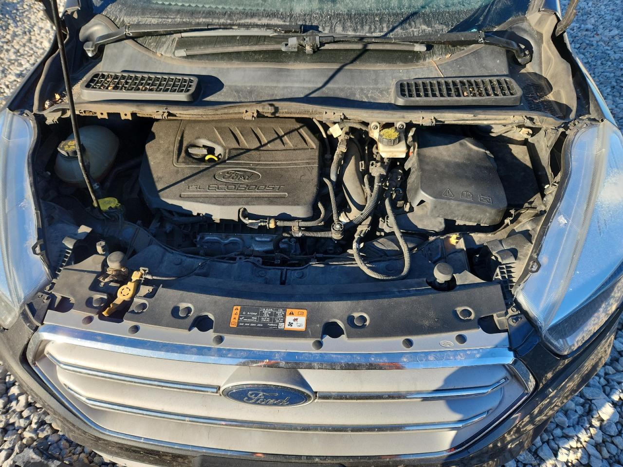 Lot #3301723370 2018 FORD ESCAPE SE