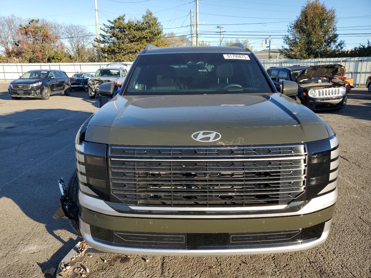 HYUNDAI PALISADE CALLIGRAPHY