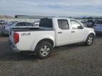Lot #3304790344 2006 NISSAN FRONTIER C