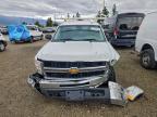 Lot #3303937711 2008 CHEVROLET SILVERADO