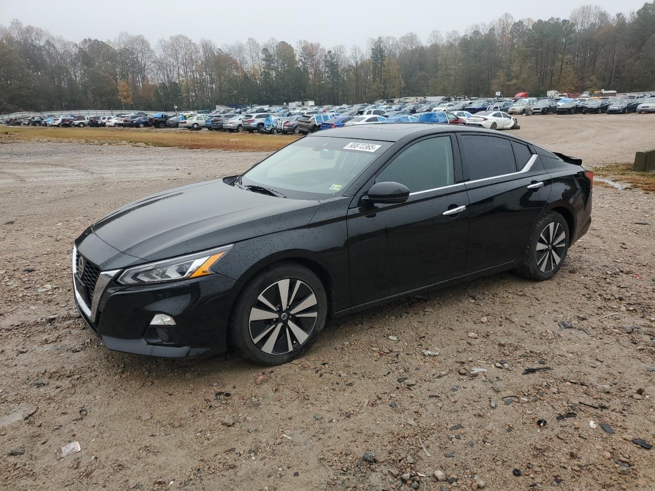 Lot #3297111496 2020 NISSAN ALTIMA SL