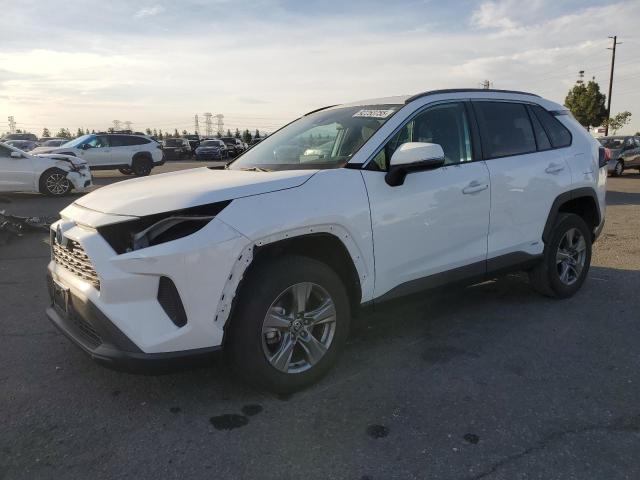 Global Auto Auctions: 2024 TOYOTA RAV4 XLE