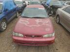 Lot #3305327319 1996 TOYOTA COROLLA