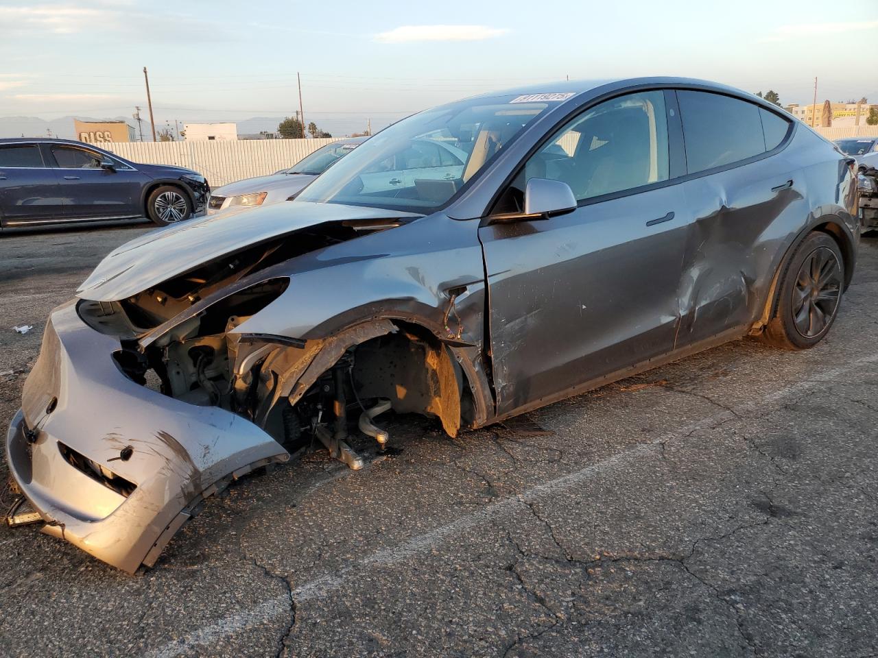 Lot #3302959610 2024 TESLA MODEL Y