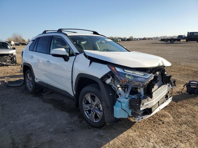 2025 TOYOTA RAV4 XLE #3284116580