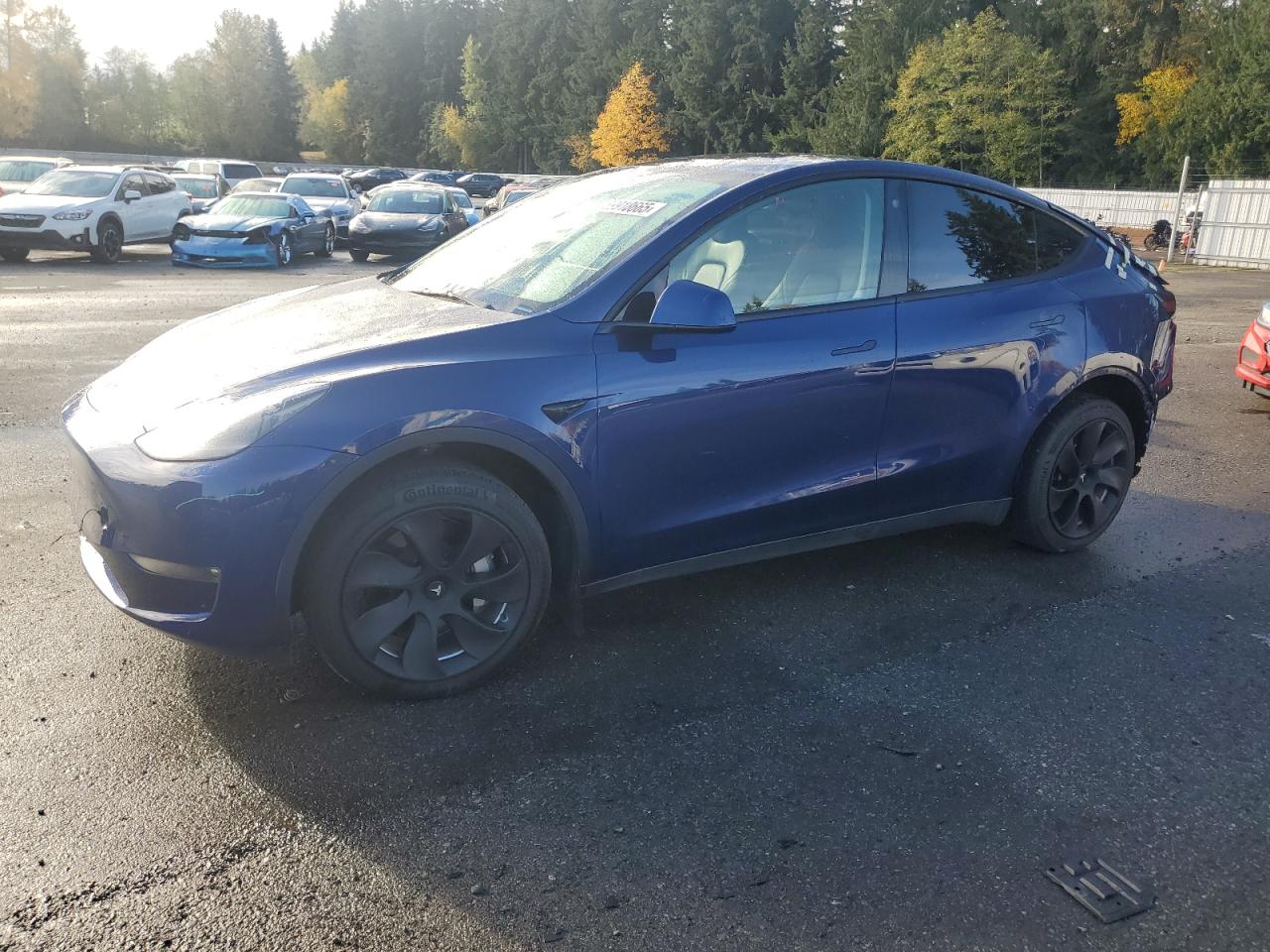 TESLA MODEL Y