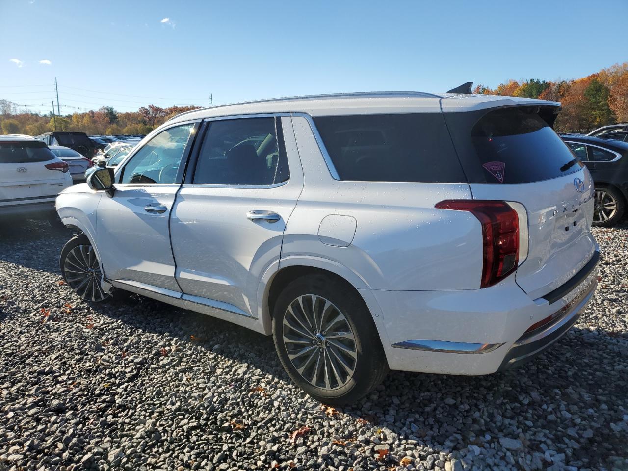 HYUNDAI PALISADE CALLIGRAPHY