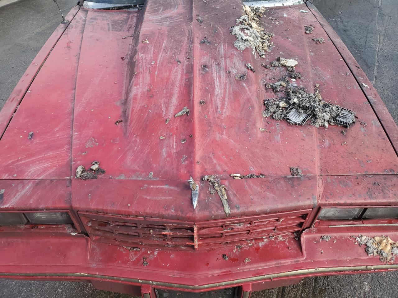 Lot #3302788945 1984 CHEVROLET MONTE CARL