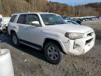 Lot #3294464507 2014 TOYOTA 4RUNNER SR