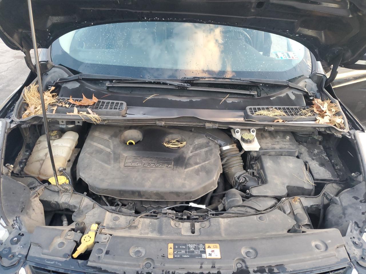 FORD ESCAPE TITANIUM