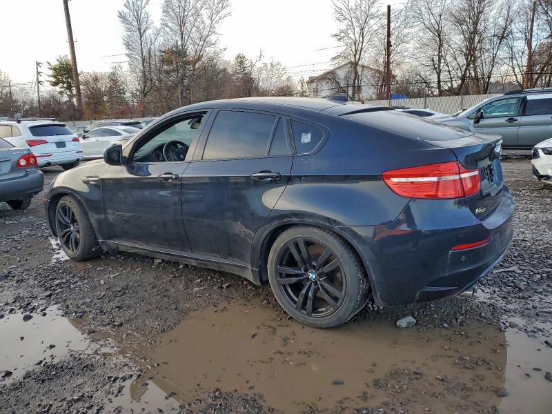 2010 BMW X6 M #3316654486