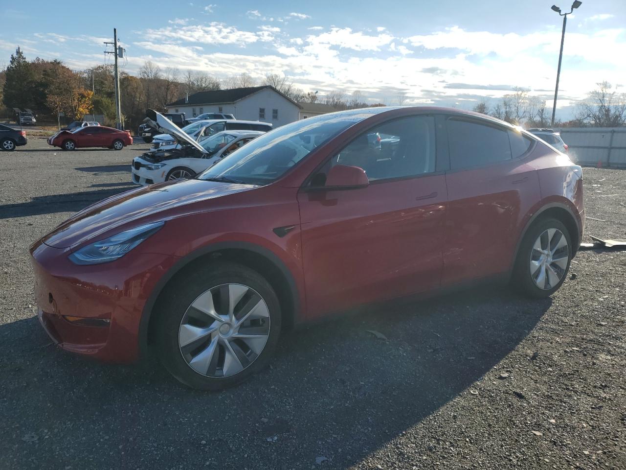 TESLA MODEL Y