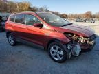 Lot #3292417641 2016 FORD ESCAPE SE