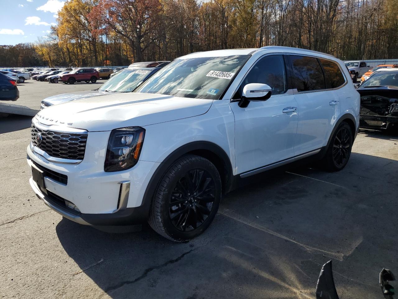 KIA TELLURIDE SX