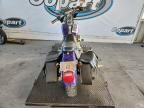Lot #3310470049 1998 HARLEY-DAVIDSON FXD