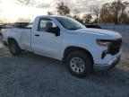 Lot #3297872802 2023 CHEVROLET SILVERADO