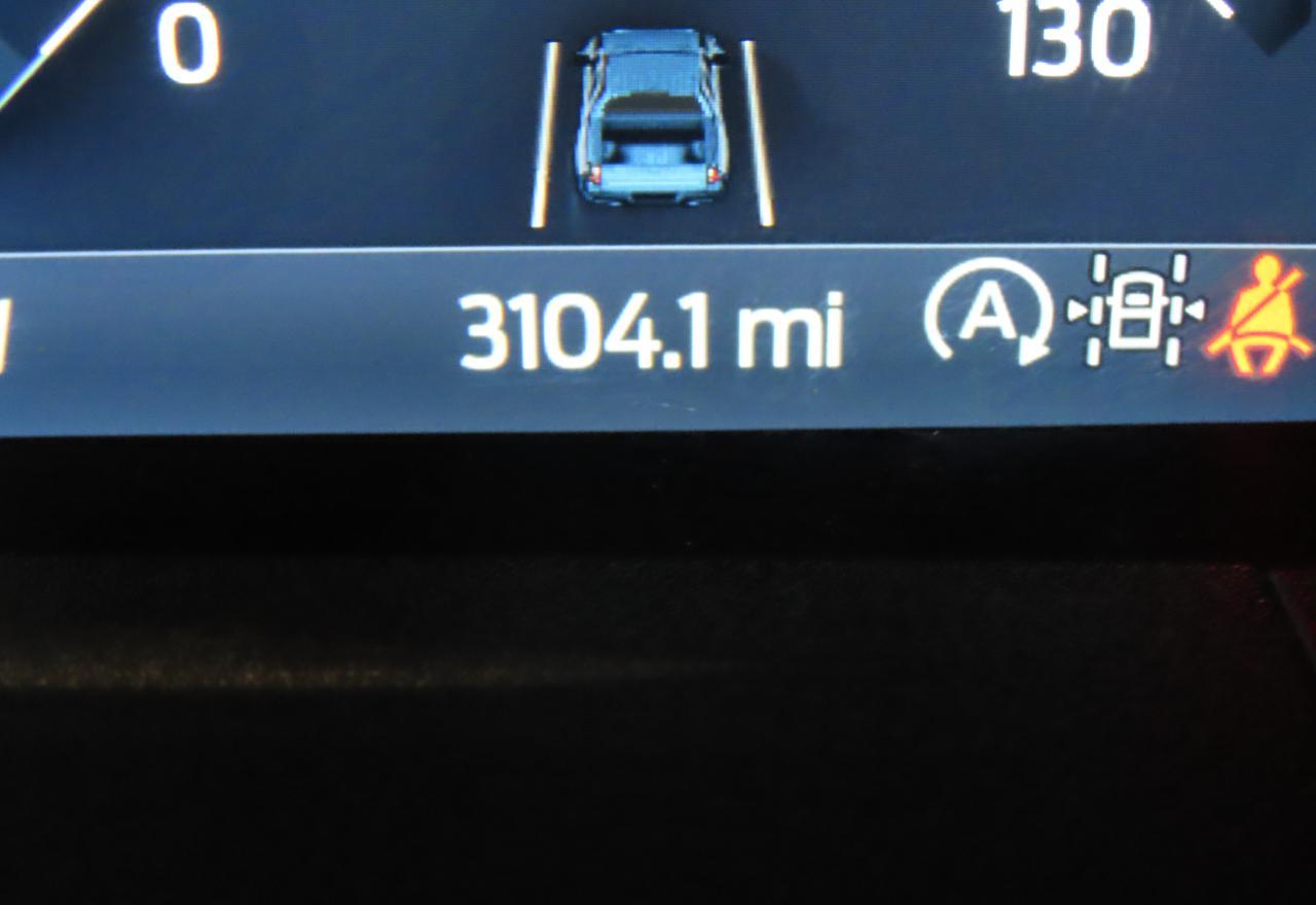 Lot #3297856781 2024 FORD RANGER LAR