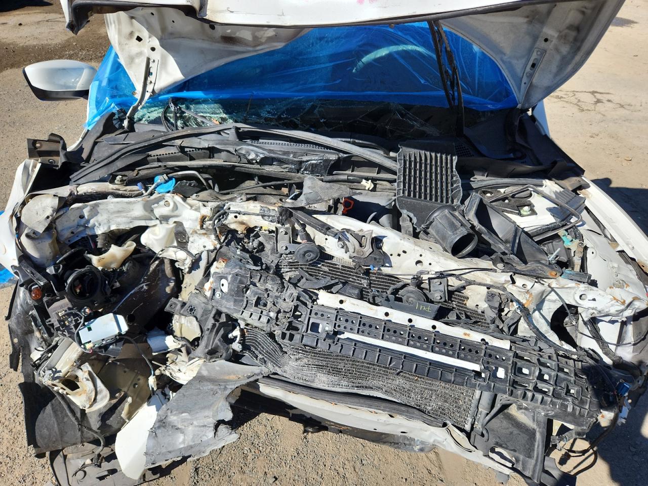 HONDA ACCORD SPORT SPECIAL EDITION