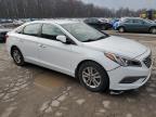 Lot #3296304421 2015 HYUNDAI SONATA ECO